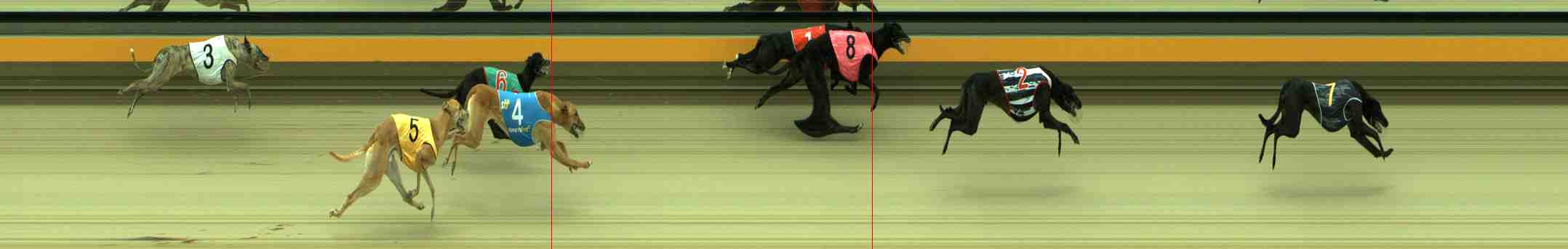 Photo finish for Sale Race 7