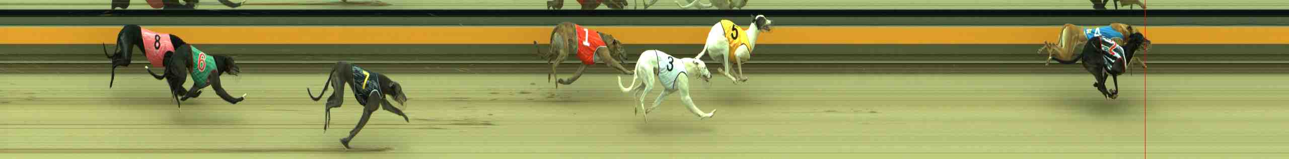 Photo finish for Sale Race 8