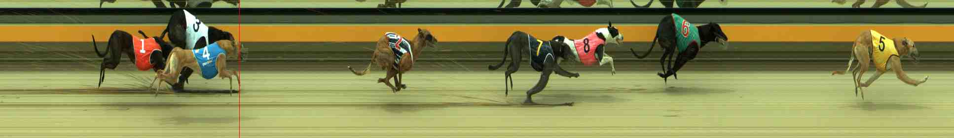 Photo finish for Sale Race 10