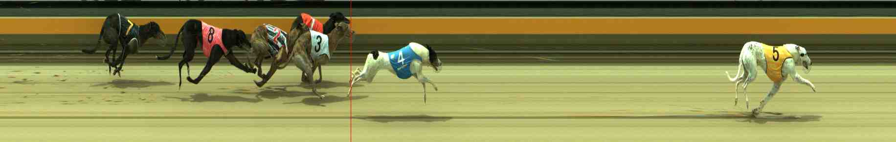 Photo finish for Sale Race 11