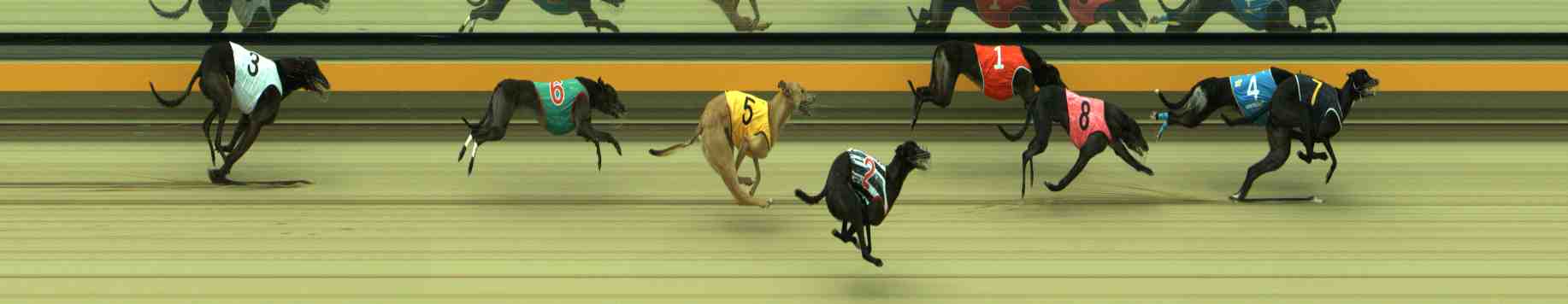 Photo finish for Sale Race 12