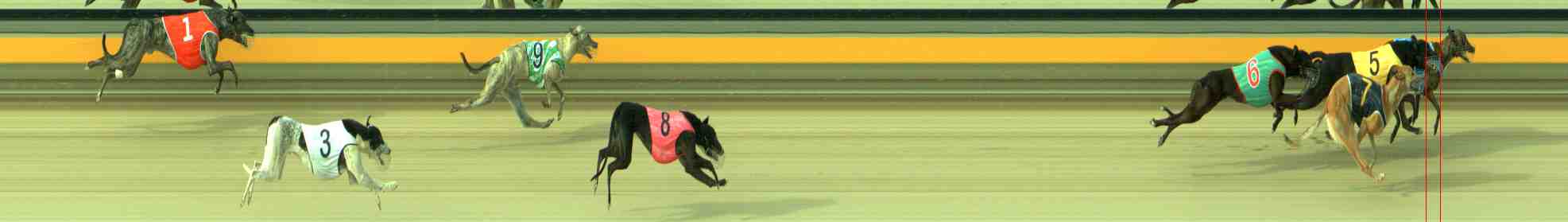 Race result finish photo