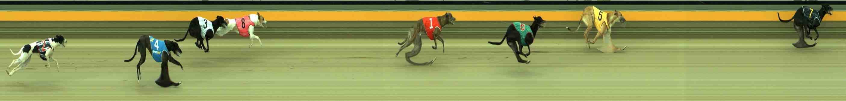 Race result finish photo