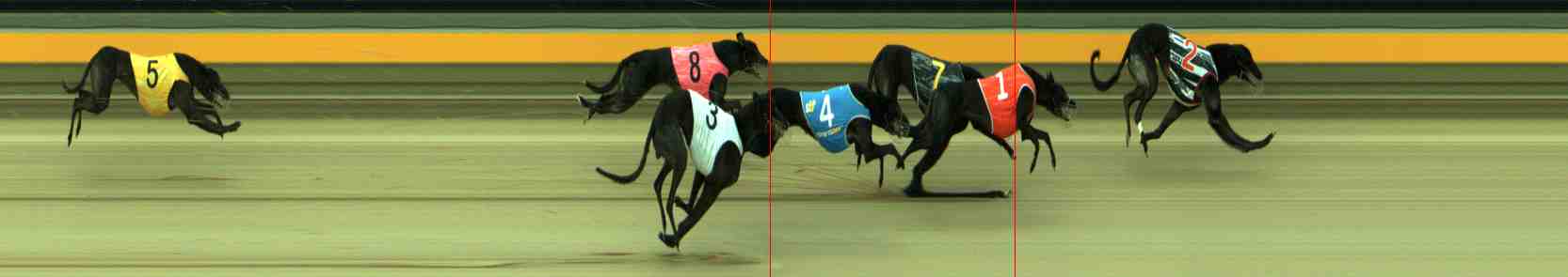 Race result finish photo