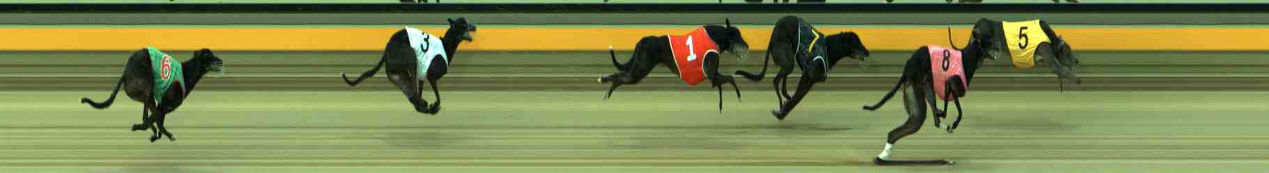 Race result finish photo