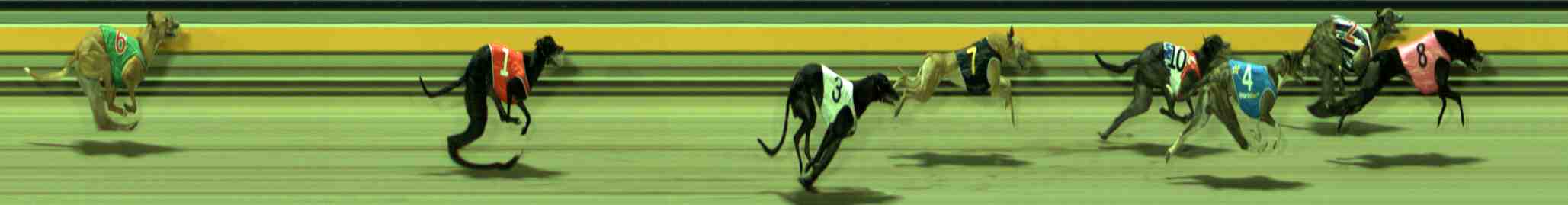 Race result finish photo