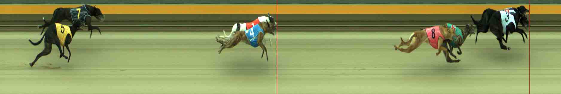 Photo finish for Sale Race 6