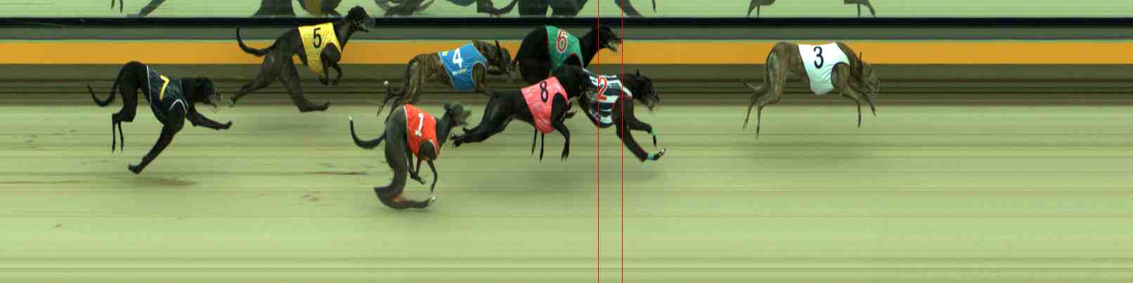 Photo finish for Sale Race 7