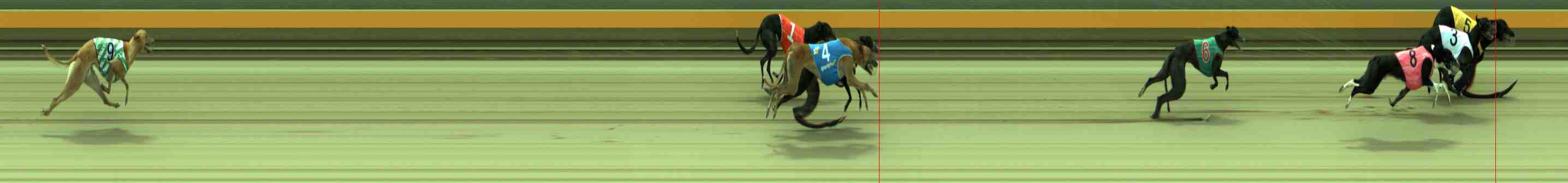 Photo finish for Sale Race 8