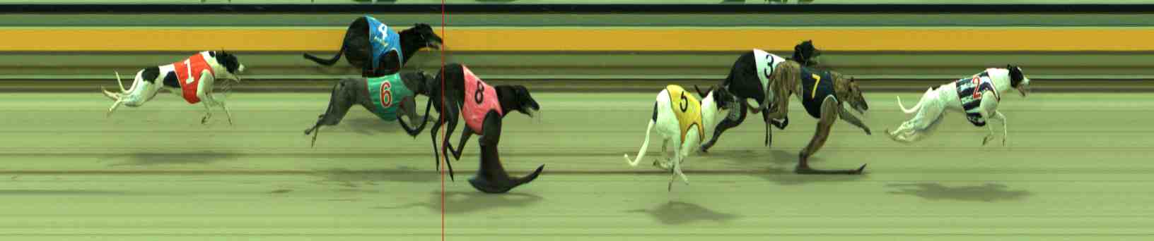 Photo finish for Sale Race 9