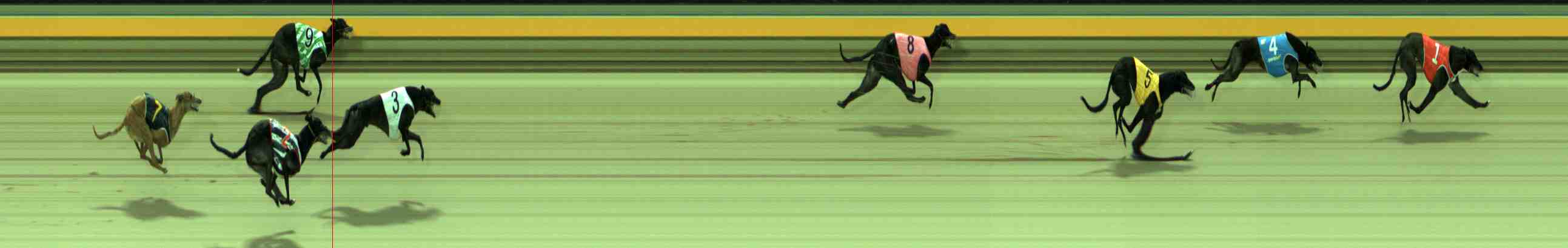 Photo finish for Sale Race 10