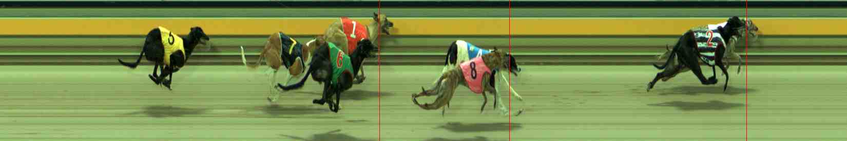 Photo finish for Sale Race 11