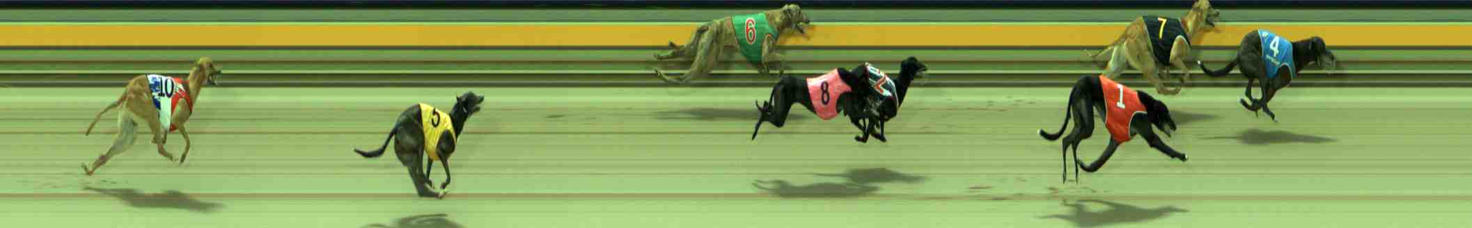 Photo finish for Sale Race 12