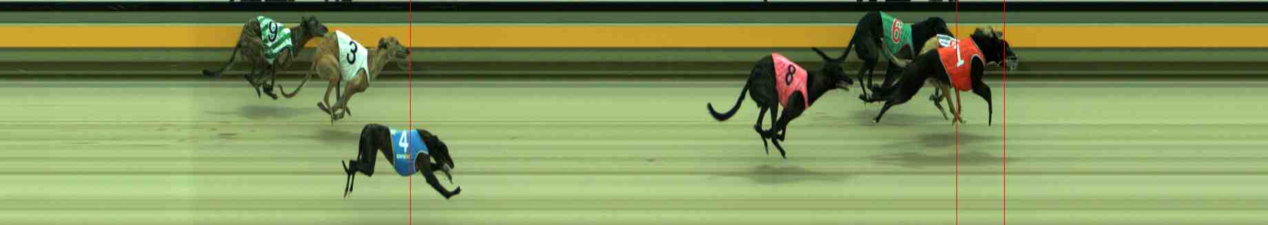 Photo finish for Sale Race 1