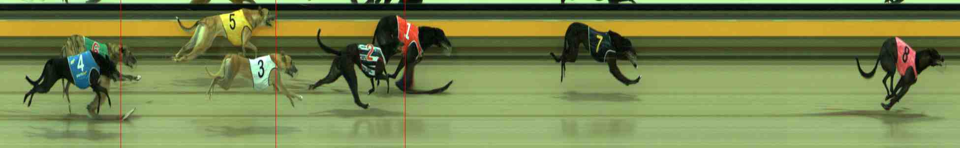 Photo finish for Sale Race 2