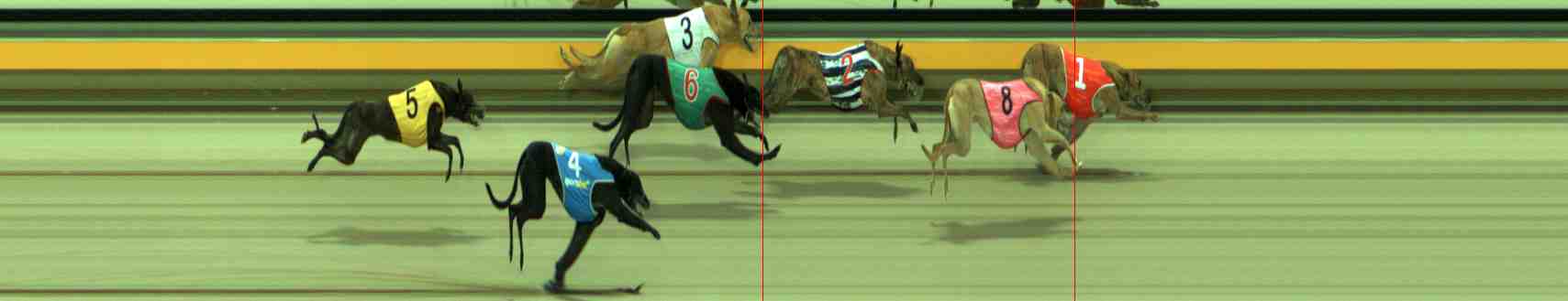 Photo finish for Sale Race 3