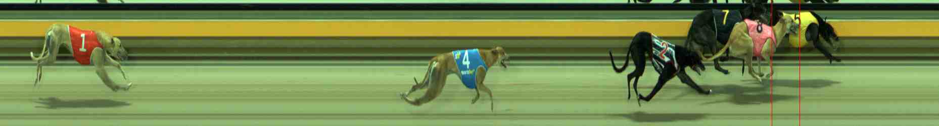 Photo finish for Sale Race 4