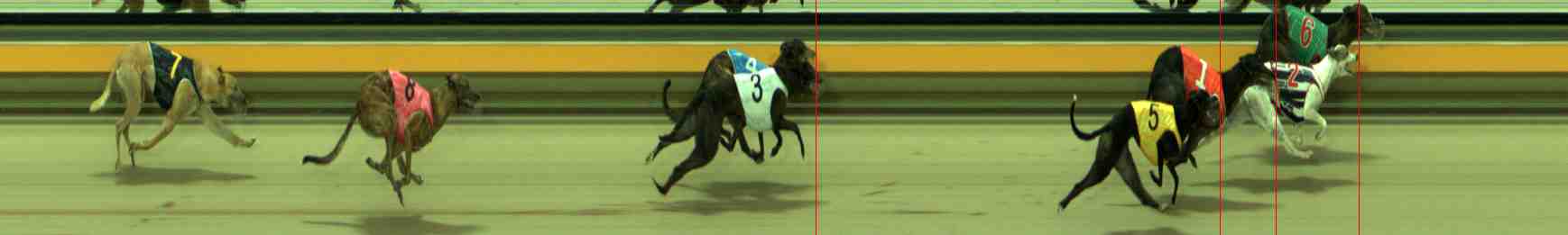 Photo finish for Sale Race 5