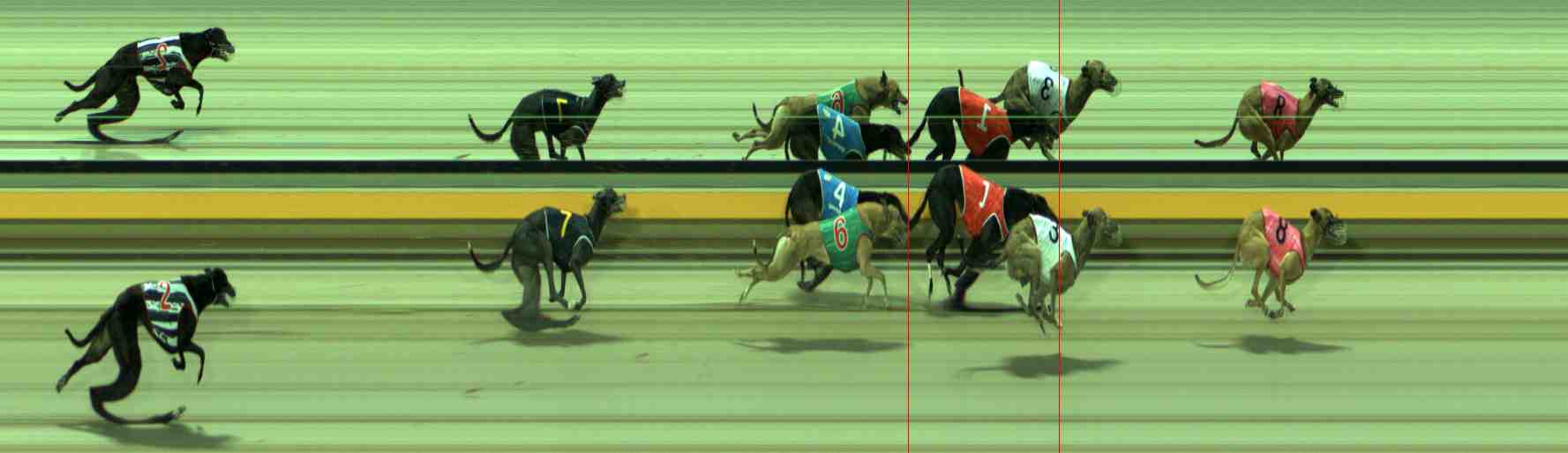 Photo finish for Sale Race 6
