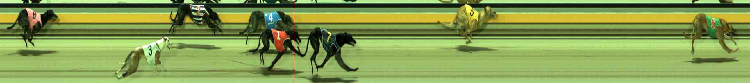 Photo finish for Sale Race 7