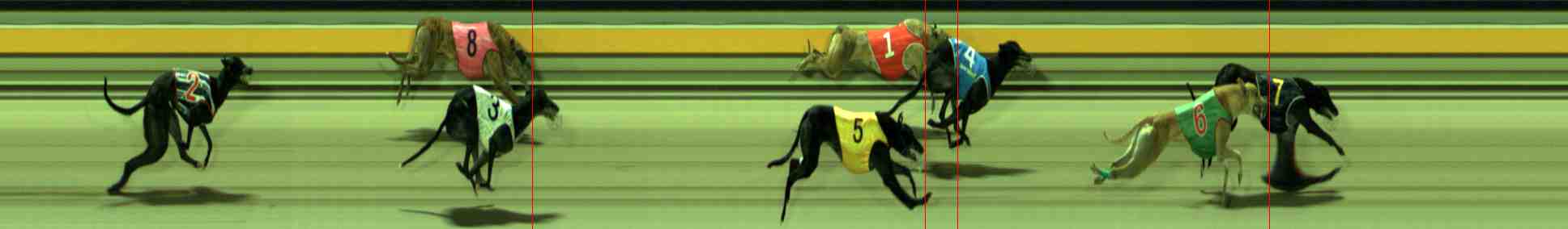 Photo finish for Sale Race 8