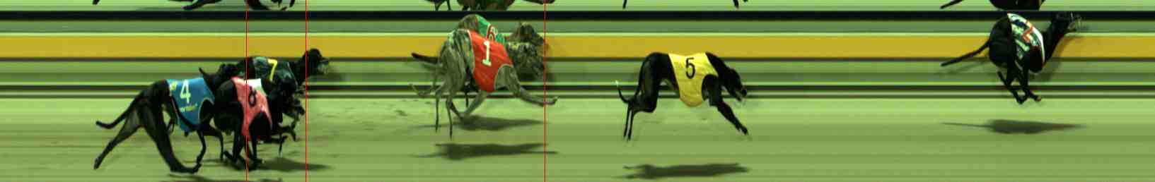 Photo finish for Sale Race 9