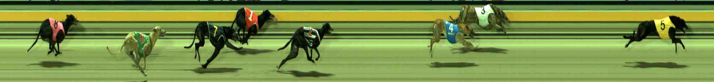 Photo finish for Sale Race 10