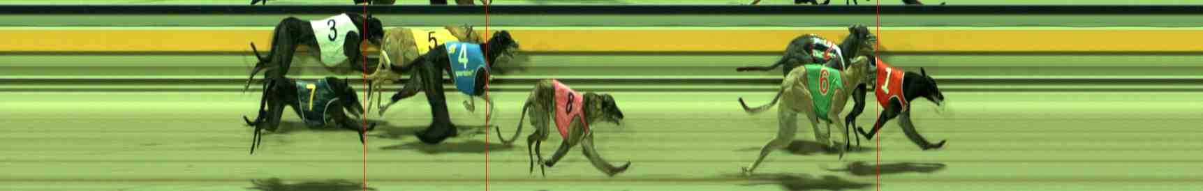Photo finish for Sale Race 11