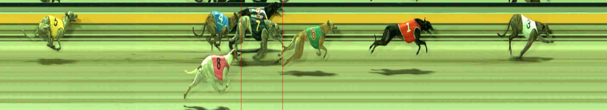 Photo finish for Sale Race 12