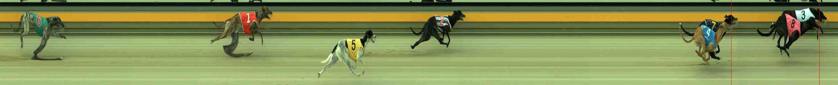 Photo finish for Sale Race 1