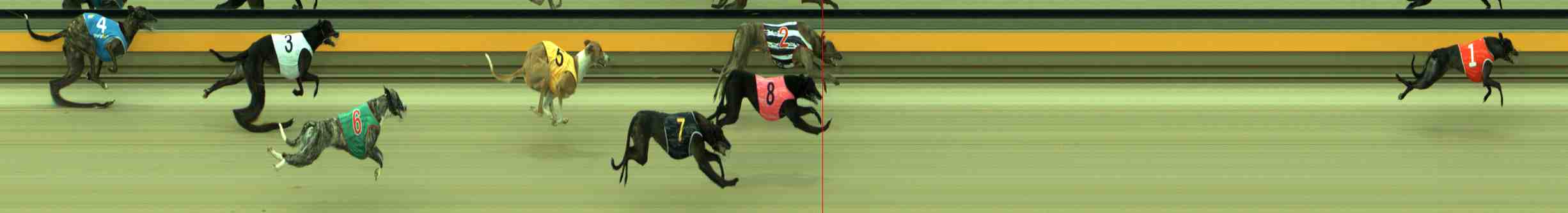 Photo finish for Sale Race 2