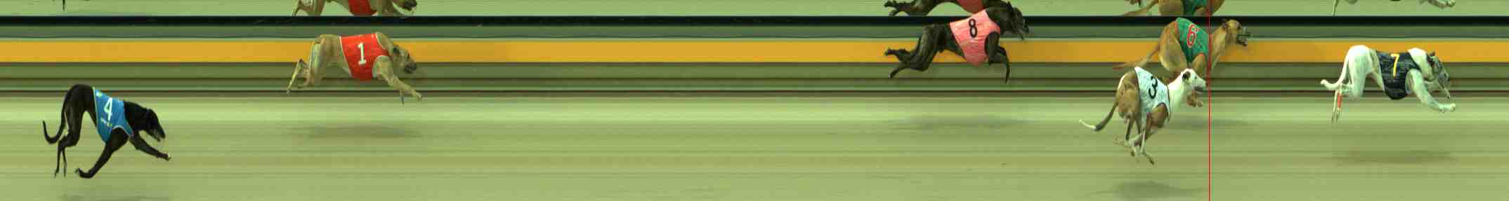 Photo finish for Sale Race 3