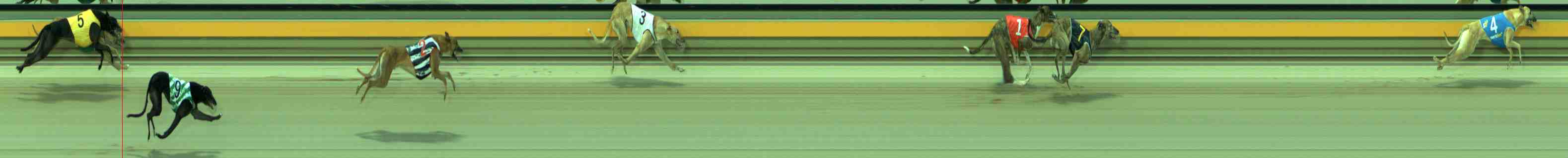 Photo finish for Sale Race 5