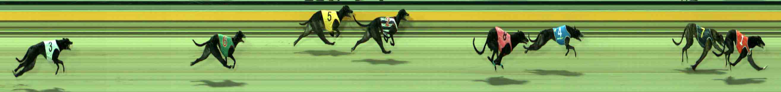 Photo finish for Sale Race 6