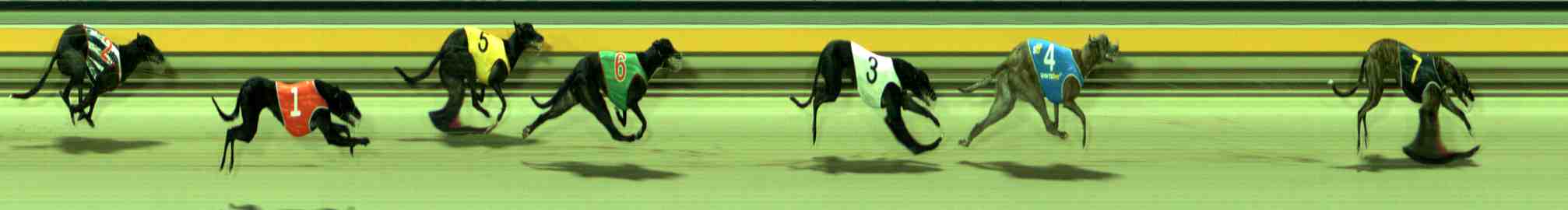 Photo finish for Sale Race 7