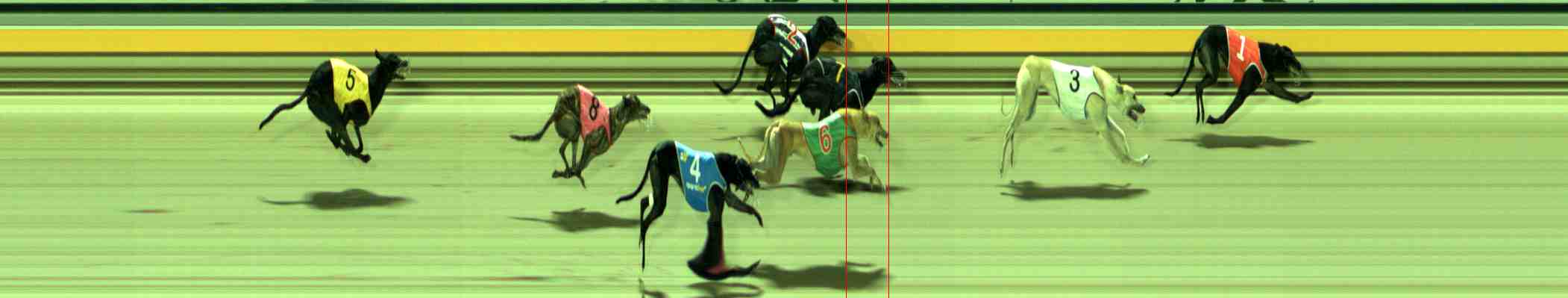 Photo finish for Sale Race 8