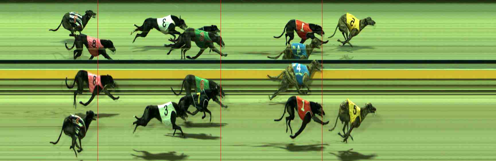 Photo finish for Sale Race 9