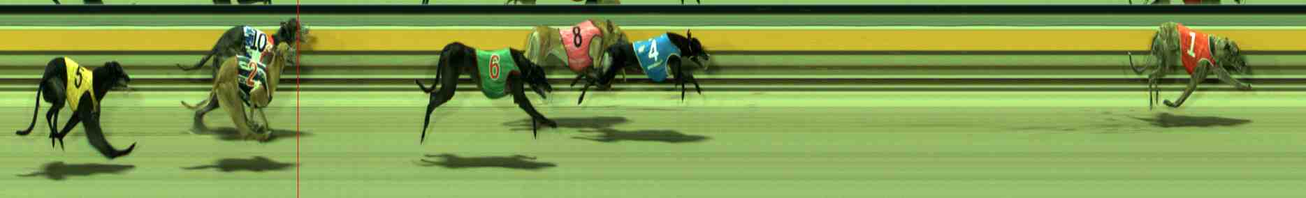 Photo finish for Sale Race 11