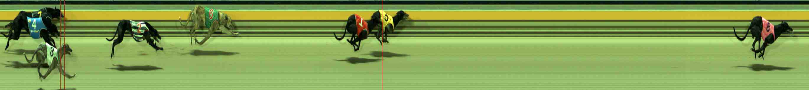Photo finish for Sale Race 12