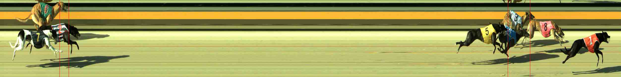 Photo finish for Sale Race 2