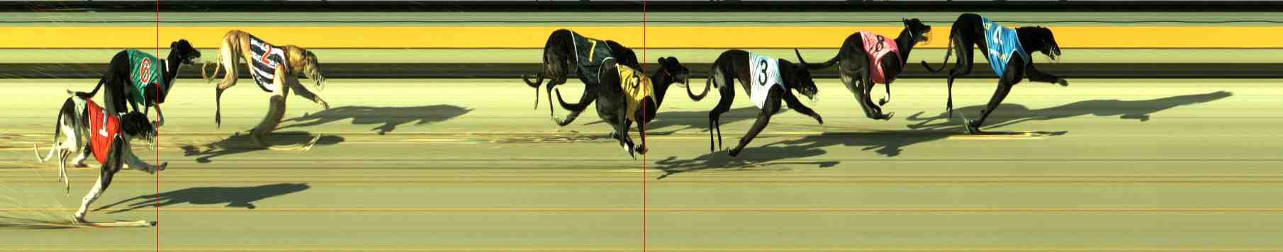 Photo finish for Sale Race 3
