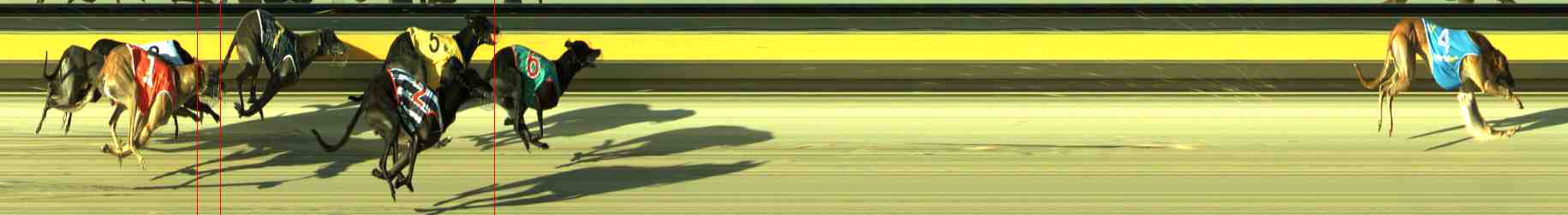 Photo finish for Sale Race 4