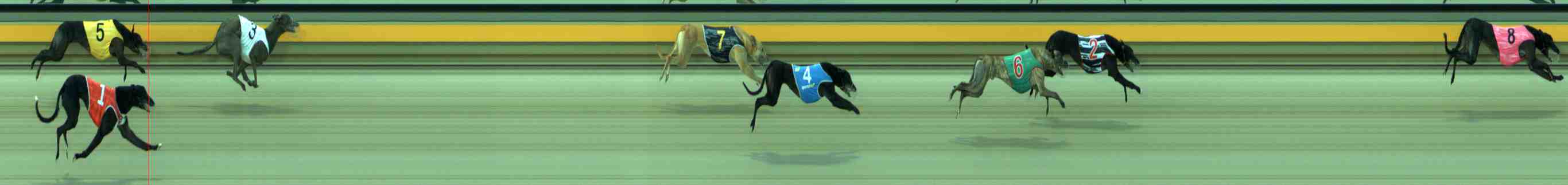 Photo finish for Sale Race 6