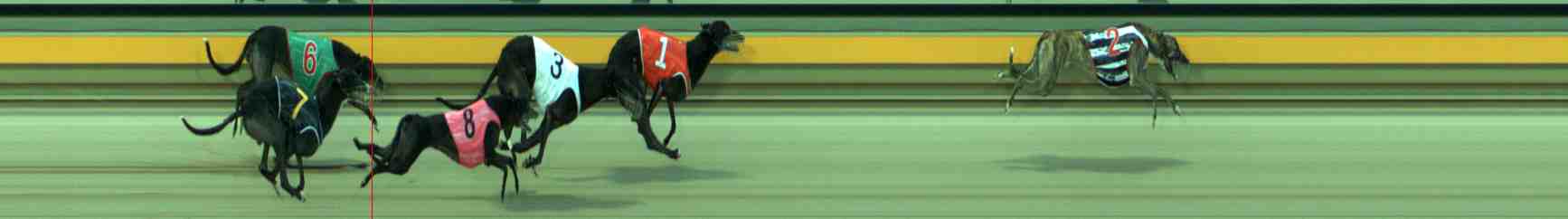 Photo finish for Sale Race 7