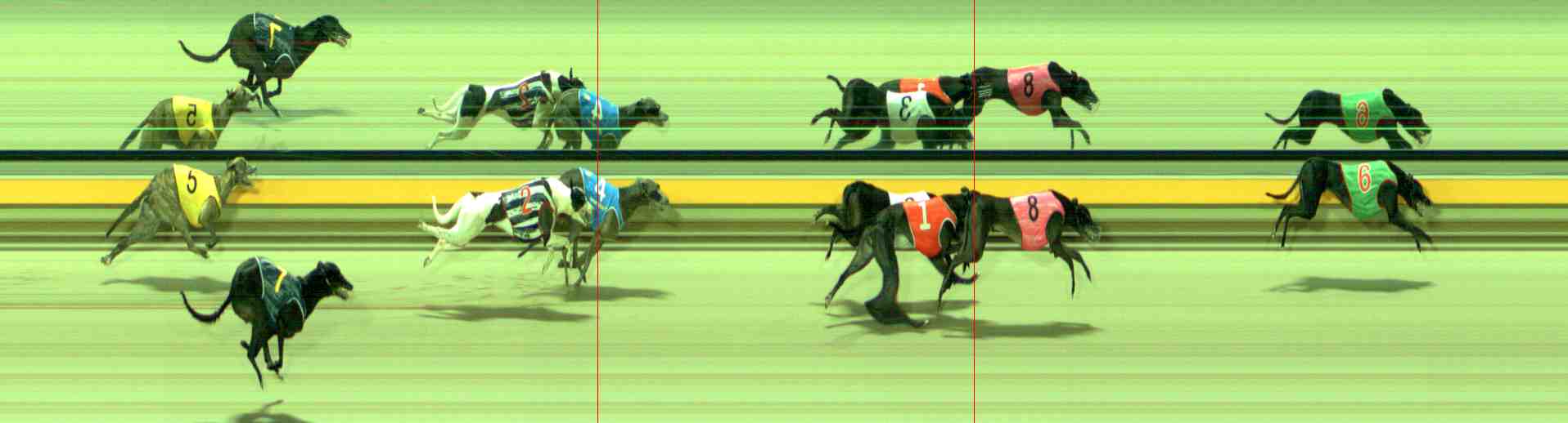 Photo finish for Sale Race 9
