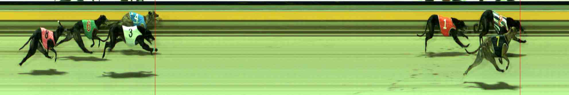 Photo finish for Sale Race 10