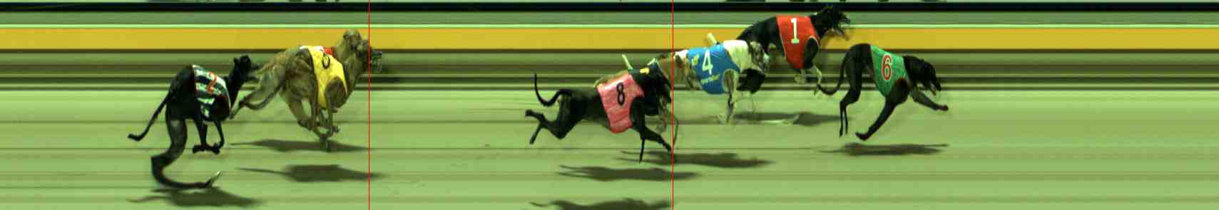 Photo finish for Sale Race 11
