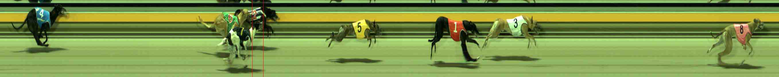 Photo finish for Sale Race 12