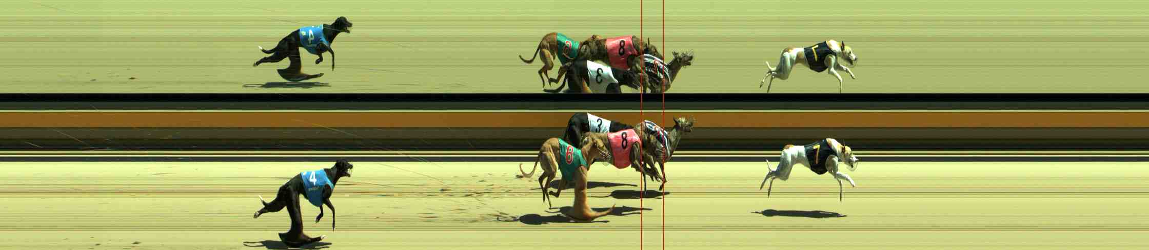 Photo finish for Sale Race 1