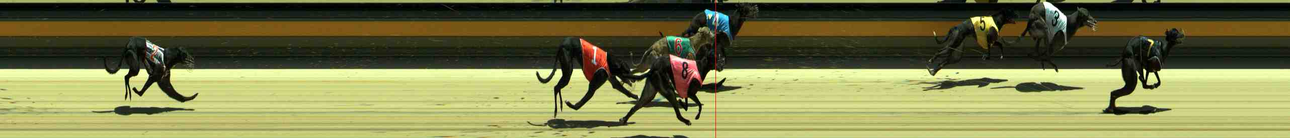 Photo finish for Sale Race 4
